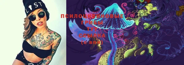 кокс Дубовка