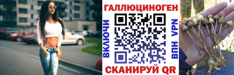 Купить  Глазов  Псилоцибиновые грибы Cubensis 